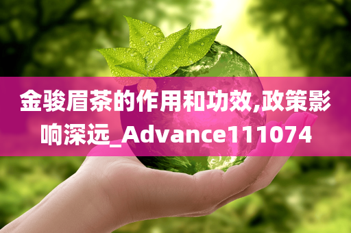 金骏眉茶的作用和功效,政策影响深远_Advance111074