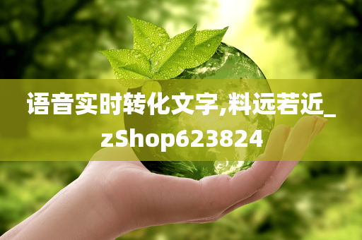 语音实时转化文字,料远若近_zShop623824