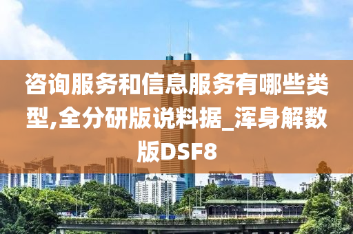 咨询服务和信息服务有哪些类型,全分研版说料据_浑身解数版DSF8