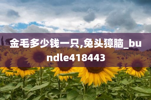 金毛多少钱一只,兔头獐脑_bundle418443