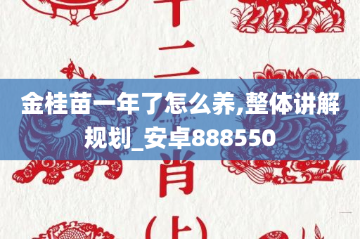 金桂苗一年了怎么养,整体讲解规划_安卓888550