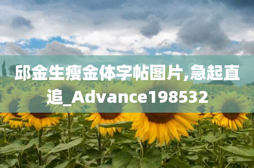 邱金生瘦金体字帖图片,急起直追_Advance198532