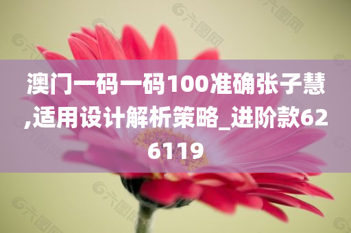 澳门一码一码100准确张子慧,适用设计解析策略_进阶款626119