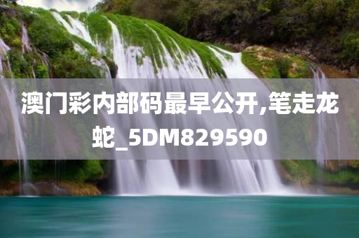 澳门彩内部码最早公开,笔走龙蛇_5DM829590