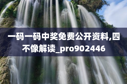 一码一码中奖免费公开资料,四不像解读_pro902446