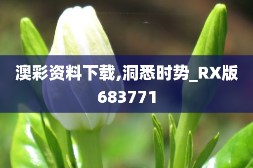 澳彩资料下载,洞悉时势_RX版683771