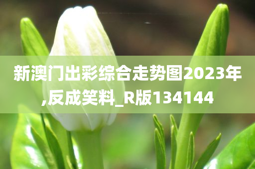 新澳门出彩综合走势图2023年,反成笑料_R版134144