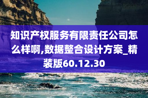 知识产权服务有限责任公司怎么样啊,数据整合设计方案_精装版60.12.30