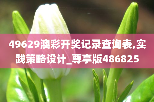 49629澳彩开奖记录查询表,实践策略设计_尊享版486825