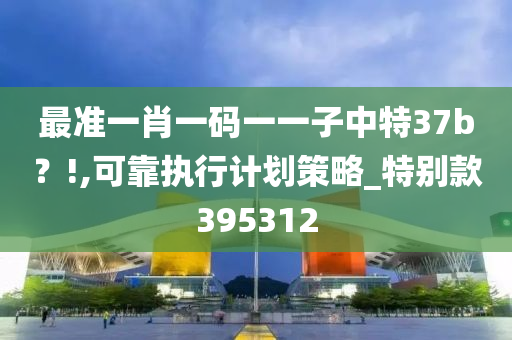 最准一肖一码一一子中特37b？!,可靠执行计划策略_特别款395312