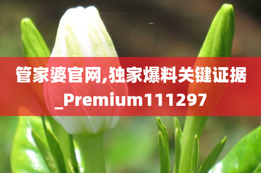 管家婆官网,独家爆料关键证据_Premium111297