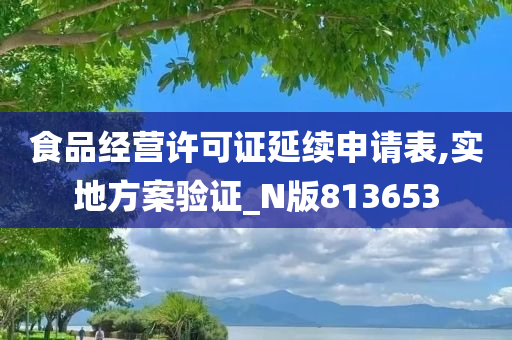 食品经营许可证延续申请表,实地方案验证_N版813653