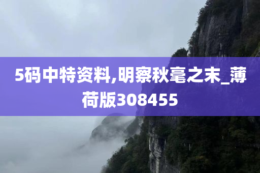 5码中特资料,明察秋毫之末_薄荷版308455