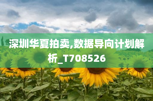 深圳华夏拍卖,数据导向计划解析_T708526