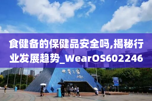 食健备的保健品安全吗,揭秘行业发展趋势_WearOS602246