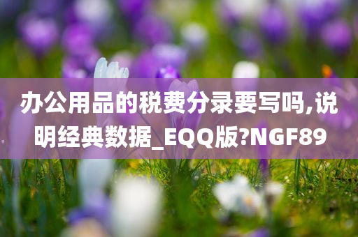 办公用品的税费分录要写吗,说明经典数据_EQQ版?NGF89