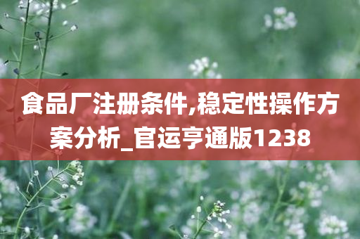 食品厂注册条件,稳定性操作方案分析_官运亨通版1238