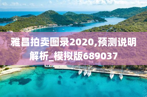 雅昌拍卖图录2020,预测说明解析_模拟版689037