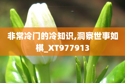 非常冷门的冷知识,洞察世事如棋_XT977913