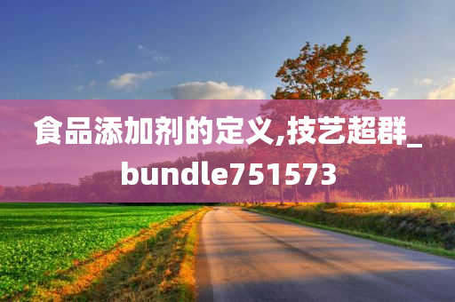 食品添加剂的定义,技艺超群_bundle751573