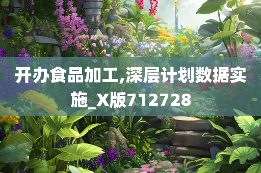 开办食品加工,深层计划数据实施_X版712728