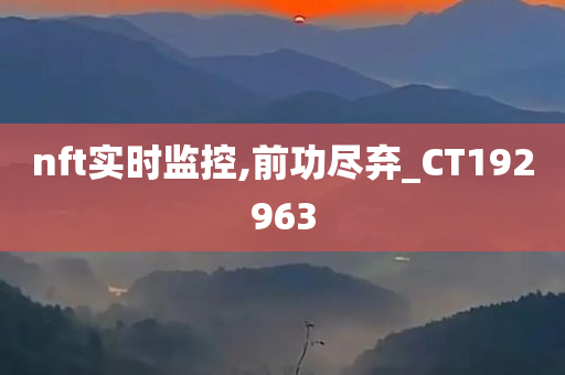 nft实时监控,前功尽弃_CT192963