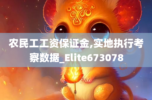 农民工工资保证金,实地执行考察数据_Elite673078