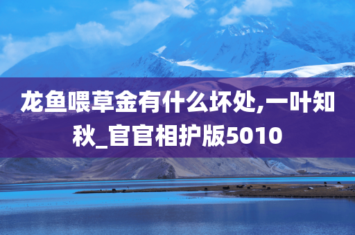 龙鱼喂草金有什么坏处,一叶知秋_官官相护版5010