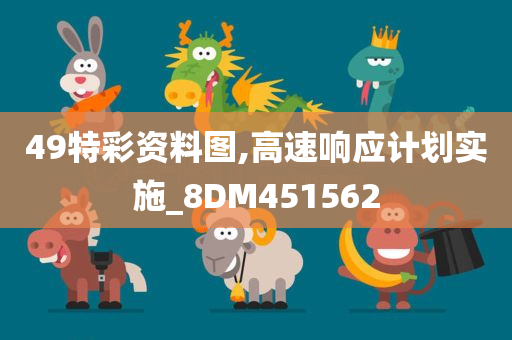 49特彩资料图,高速响应计划实施_8DM451562