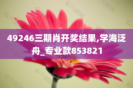 49246三期肖开奖结果,学海泛舟_专业款853821