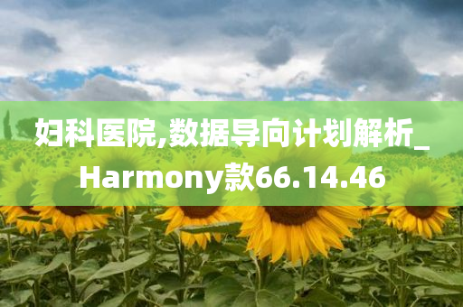 妇科医院,数据导向计划解析_Harmony款66.14.46