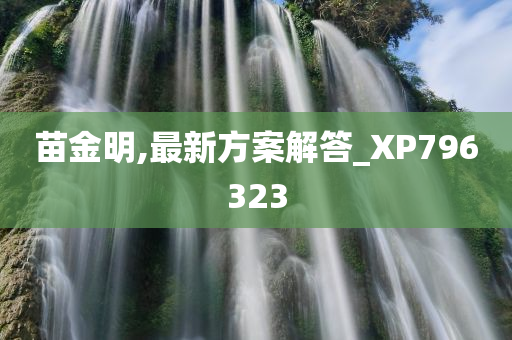 苗金明,最新方案解答_XP796323