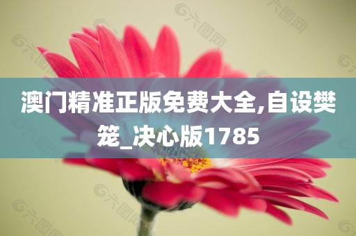 澳门精准正版免费大全,自设樊笼_决心版1785