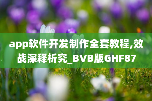 app软件开发制作全套教程,效战深释析究_BVB版GHF87