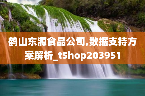 鹤山东源食品公司,数据支持方案解析_tShop203951