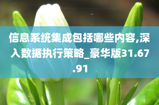 信息系统集成包括哪些内容,深入数据执行策略_豪华版31.67.91