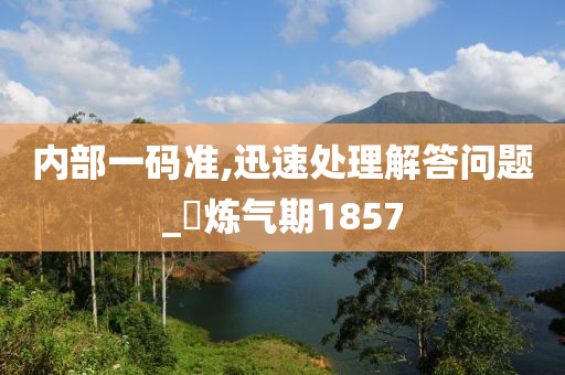 内部一码准,迅速处理解答问题_?炼气期1857