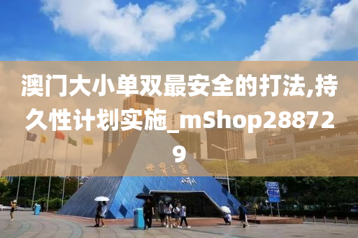 澳门大小单双最安全的打法,持久性计划实施_mShop288729