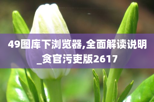 49图库下浏览器,全面解读说明_贪官污吏版2617