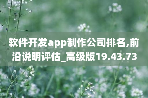 软件开发app制作公司排名,前沿说明评估_高级版19.43.73