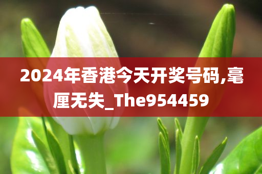 2024年香港今天开奖号码,毫厘无失_The954459