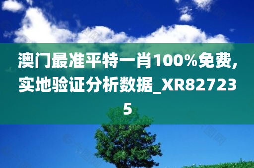 澳门最准平特一肖100%免费,实地验证分析数据_XR827235