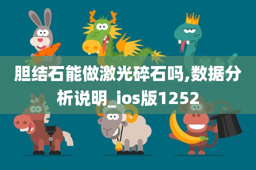 胆结石能做激光碎石吗,数据分析说明_ios版1252