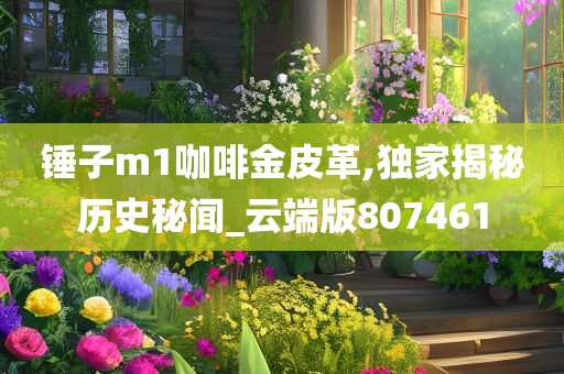 锤子m1咖啡金皮革,独家揭秘历史秘闻_云端版807461