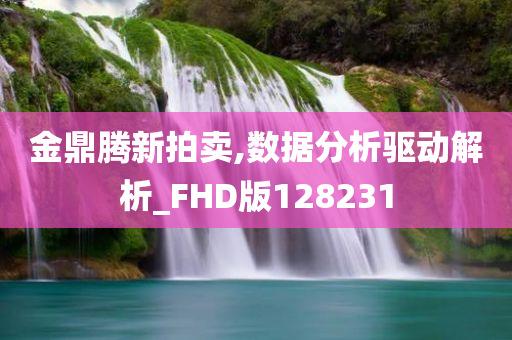 金鼎腾新拍卖,数据分析驱动解析_FHD版128231