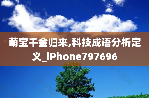 萌宝千金归来,科技成语分析定义_iPhone797696