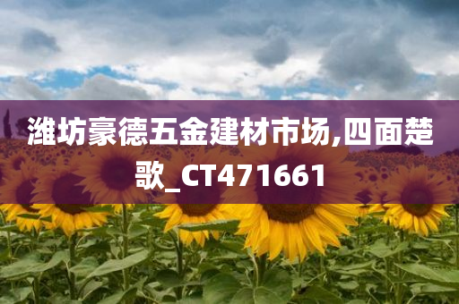 潍坊豪德五金建材市场,四面楚歌_CT471661