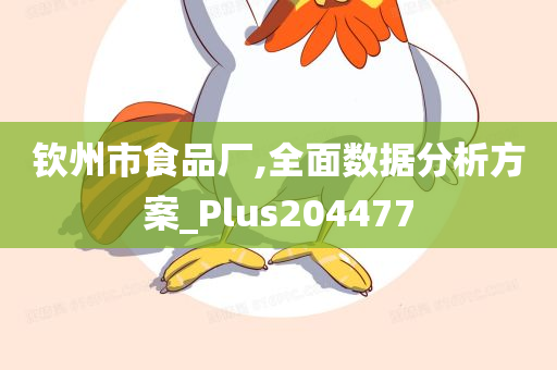 钦州市食品厂,全面数据分析方案_Plus204477