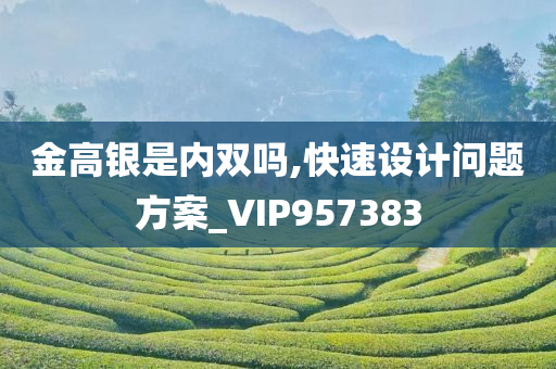 金高银是内双吗,快速设计问题方案_VIP957383