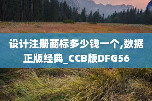 设计注册商标多少钱一个,数据正版经典_CCB版DFG56